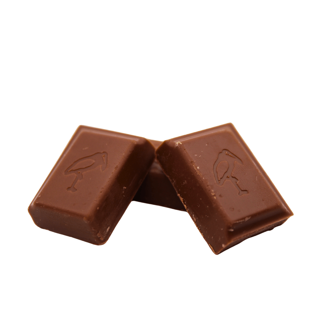 Freia Hazelnut Milk Chocolate - Stock Boy Candy Co.