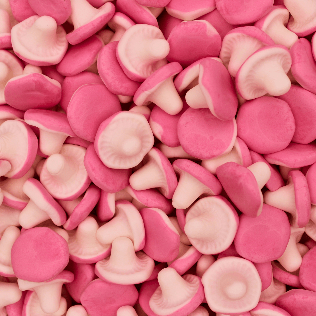 Marshmallow Chantarelles - Stock Boy Candy Co.